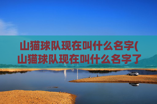 山猫球队现在叫什么名字(山猫球队现在叫什么名字了)