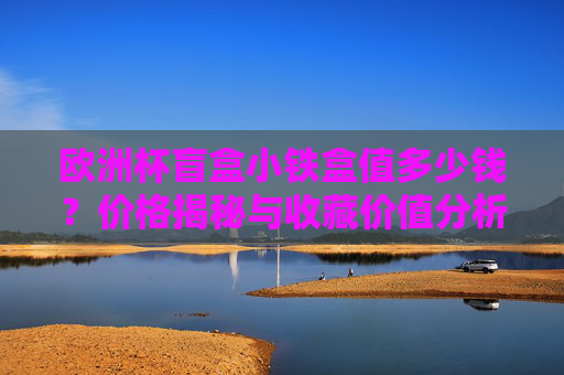 欧洲杯盲盒小铁盒值多少钱？价格揭秘与收藏价值分析，欧洲杯盲盒小铁盒价格与收藏价值解析