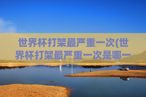世界杯打架最严重一次(世界杯打架最严重一次是哪一年)
