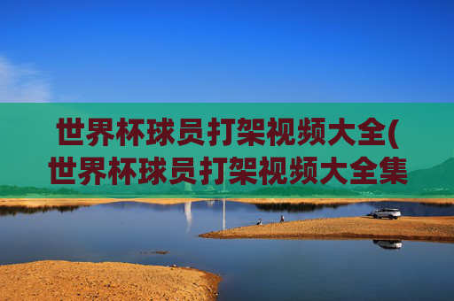 世界杯球员打架视频大全(世界杯球员打架视频大全集)