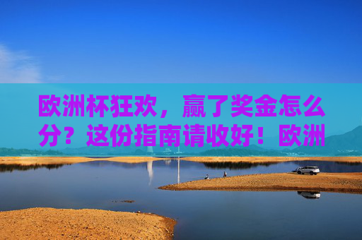 欧洲杯狂欢，赢了奖金怎么分？这份指南请收好！欧洲杯奖金分配指南