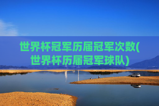 世界杯冠军历届冠军次数(世界杯历届冠军球队)