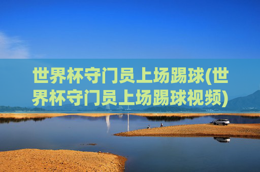 世界杯守门员上场踢球(世界杯守门员上场踢球视频)