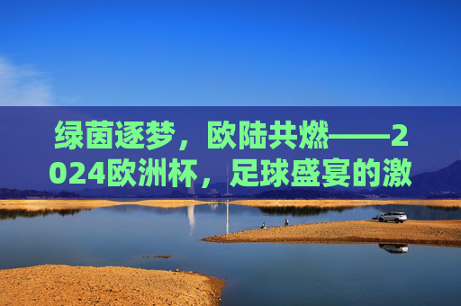 绿茵逐梦，欧陆共燃——2024欧洲杯，足球盛宴的激情与传承，绿茵逐梦，欧陆共燃——2024欧洲杯激情传承