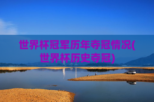世界杯冠军历年夺冠情况(世界杯历史夺冠)