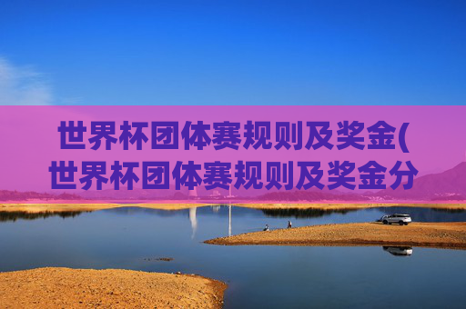 世界杯团体赛规则及奖金(世界杯团体赛规则及奖金分配)