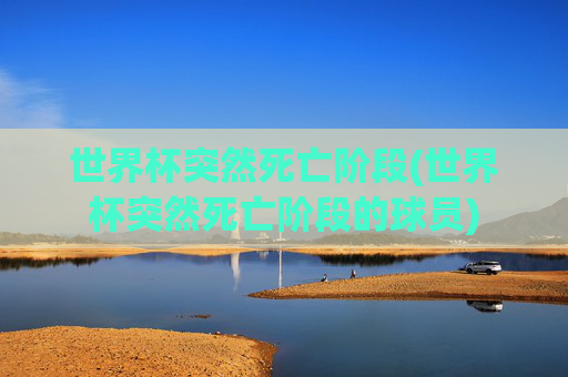 世界杯突然死亡阶段(世界杯突然死亡阶段的球员)