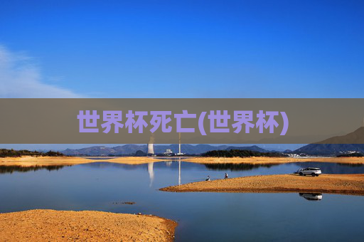 世界杯死亡(世界杯)