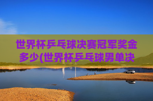 世界杯乒乓球决赛冠军奖金多少(世界杯乒乓球男单决赛)