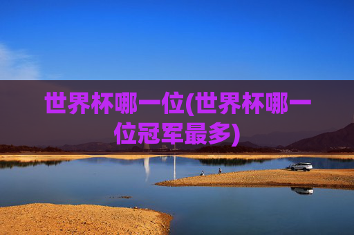 世界杯哪一位(世界杯哪一位冠军最多)