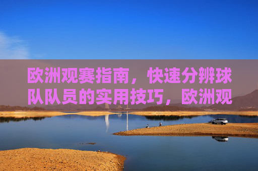 欧洲观赛指南,快速分辨球队队员的实用技巧,欧洲观赛指南,快速分辨球队队员的实用技巧