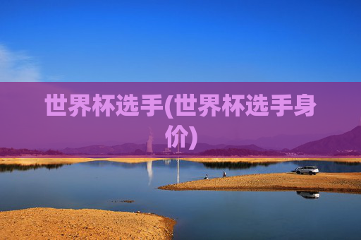 世界杯选手(世界杯选手身价)