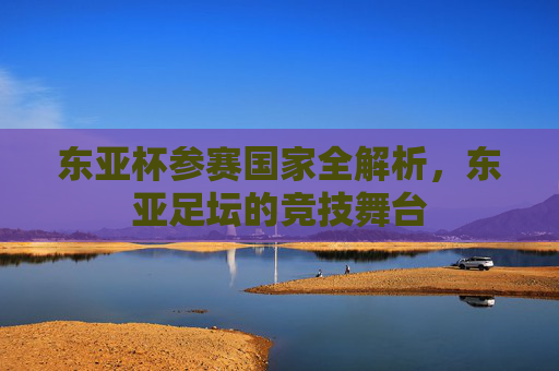 东亚杯参赛国家全解析,东亚足坛的竞技舞台