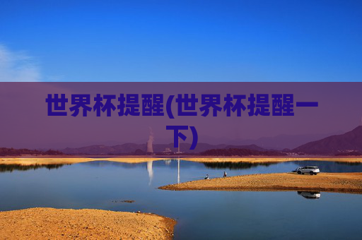 世界杯提醒(世界杯提醒一下)