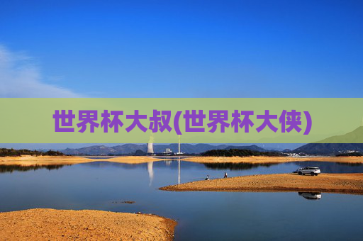 世界杯大叔(世界杯大侠)
