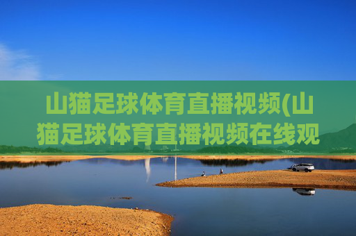 山猫足球体育直播视频(山猫足球体育直播视频在线观看)