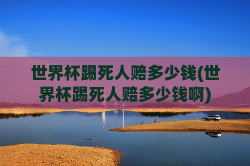 世界杯踢死人赔多少钱(世界杯踢死人赔多少钱啊)