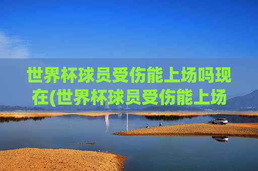 世界杯球员受伤能上场吗现在(世界杯球员受伤能上场吗现在怎么样)