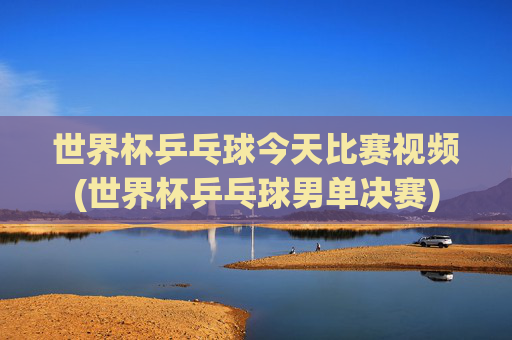 世界杯乒乓球今天比赛视频(世界杯乒乓球男单决赛)