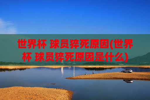 世界杯 球员猝死原因(世界杯 球员猝死原因是什么)