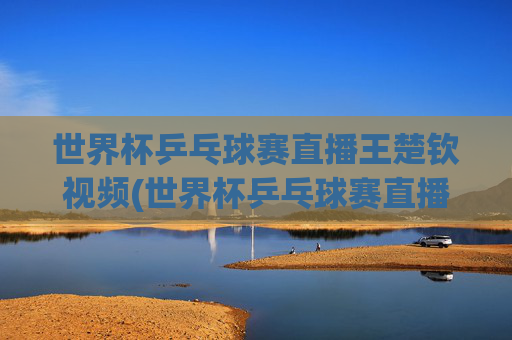 世界杯乒乓球赛直播王楚钦视频(世界杯乒乓球赛直播王楚钦视频回放)