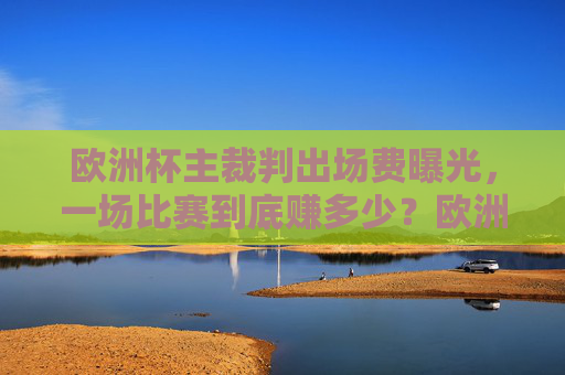 欧洲杯主裁判出场费曝光,一场比赛到底赚多少?欧洲杯主裁判出场费曝光,一场比赛到底赚多少?