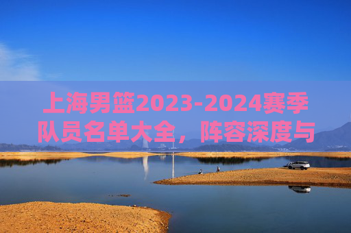 上海男篮2023-2024赛季队员名单大全，阵容深度与核心力量解析，上海男篮2023-2024赛季名单大全，阵容深度与核心力量解析