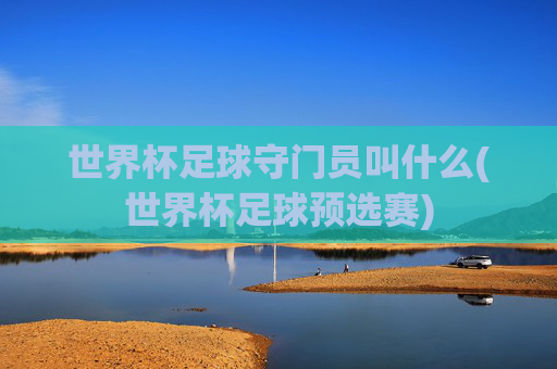 世界杯足球守门员叫什么(世界杯足球预选赛)