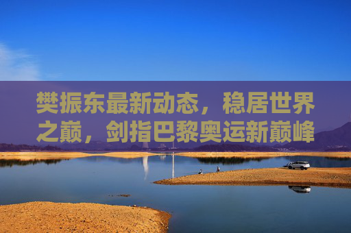 樊振东最新动态，稳居世界之巅，剑指巴黎奥运新巅峰，樊振东稳居世界之巅 剑指巴黎奥运新巅峰