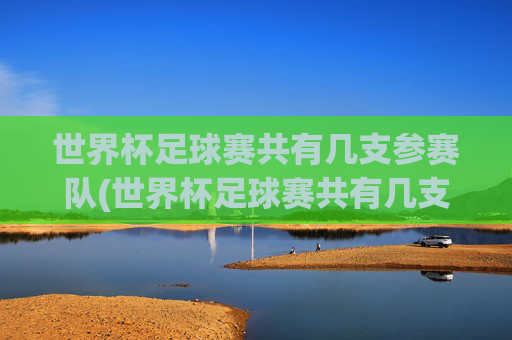 世界杯足球赛共有几支参赛队(世界杯足球赛共有几支参赛队伍)