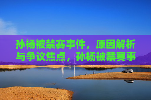 孙杨被禁赛事件，原因解析与争议焦点，孙杨被禁赛事件，原因解析与争议焦点