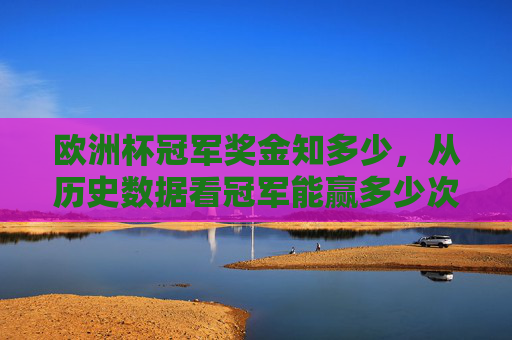 欧洲杯冠军奖金知多少,从历史数据看冠军能赢多少次