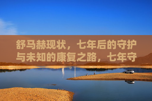 舒马赫现状,七年后的守护与未知的康复之路,七年守护,舒马赫的未知康复路