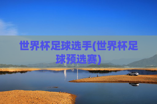 世界杯足球选手(世界杯足球预选赛)