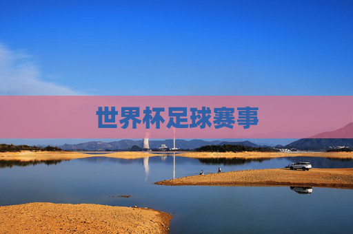 世界杯足球赛事