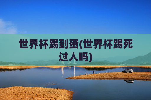 世界杯踢到蛋(世界杯踢死过人吗)