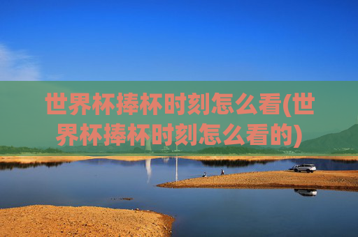 世界杯捧杯时刻怎么看(世界杯捧杯时刻怎么看的)