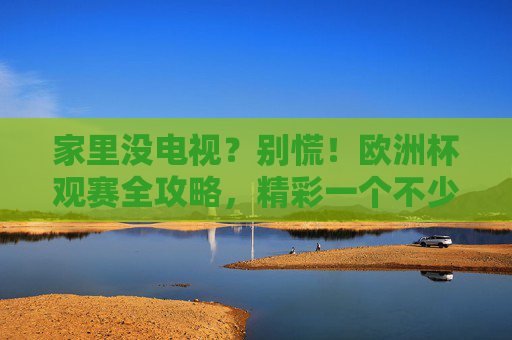 家里没电视？别慌！欧洲杯观赛全攻略，精彩一个不少，家里没电视？欧洲杯观赛全攻略，精彩一个不少