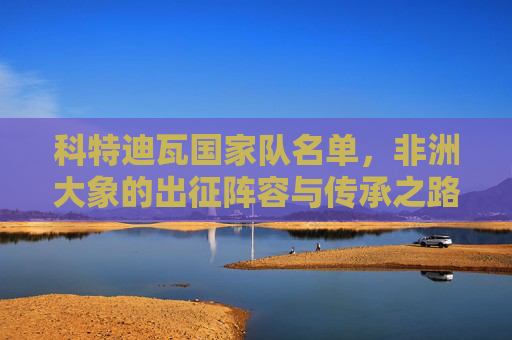 科特迪瓦国家队名单，非洲大象的出征阵容与传承之路，非洲大象出征，科特迪瓦国家队名单与传承之路