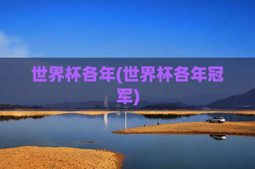 世界杯各年(世界杯各年冠军)