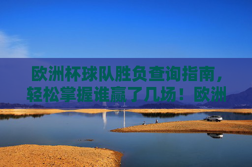 欧洲杯球队胜负查询指南,轻松掌握谁赢了几场!欧洲杯球队胜负查询指南