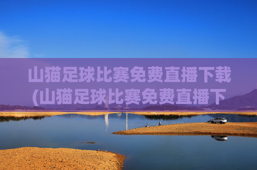 山猫足球比赛免费直播下载(山猫足球比赛免费直播下载安装)