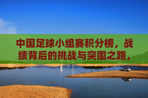 中国足球小组赛积分榜,战绩背后的挑战与突围之路,中国足球小组赛,战绩背后的挑战与突围