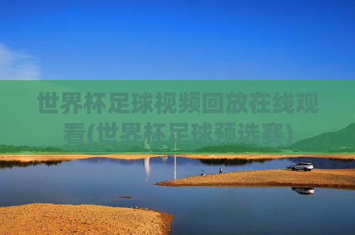 世界杯足球视频回放在线观看(世界杯足球预选赛)