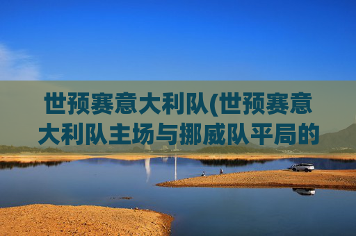 世预赛意大利队(世预赛意大利队主场与挪威队平局的概率大吗)