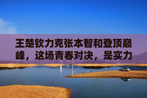 王楚钦力克张本智和登顶巅峰，这场青春对决，是实力的加冕，更是成长的答卷，王楚钦力克张本智和，青春对决登顶，实力成长加冕