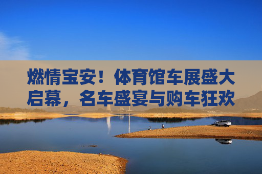 燃情宝安!体育馆车展盛大启幕,名车盛宴与购车狂欢全城瞩目,燃情宝安!体育馆车展盛大启幕 名车盛宴购车狂欢全城瞩目