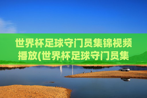 世界杯足球守门员集锦视频播放(世界杯足球守门员集锦视频播放下载)