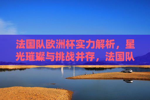 法国队欧洲杯实力解析,星光璀璨与挑战并存,法国队欧洲杯实力,星光璀璨与挑战并存