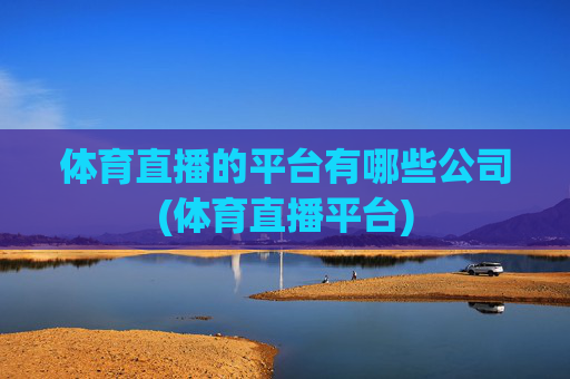体育直播的平台有哪些公司(体育直播平台)